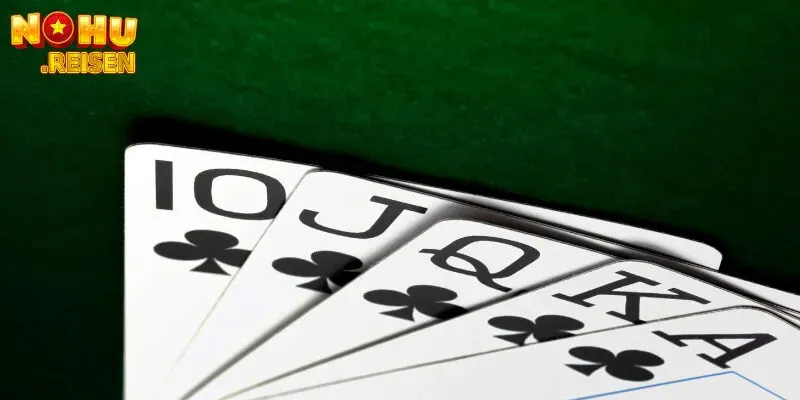 Xì Tố 5 Cây Là Gì? Cách Chơi Xì Tố 5 Cây? Thông Tin Cơ Bản